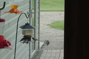 19800 Stephan Dr, Minnewaska Twp, MN 56381 - Photo 50