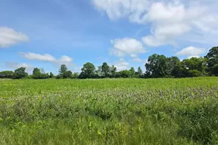 3014 County Rd N, Wilson, WI 54027 - Photo 1