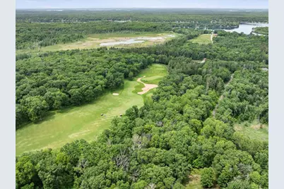 Tbd Dog Leg, Pequot Lakes, MN 56472 - Photo 6
