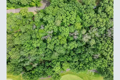 Tbd Dog Leg, Pequot Lakes, MN 56472 - Photo 8