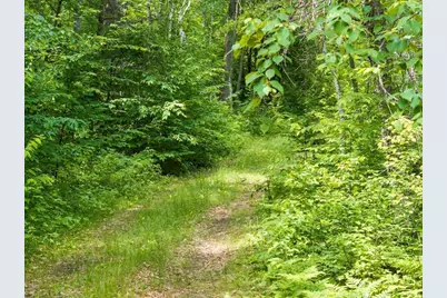 Tbd Dog Leg, Pequot Lakes, MN 56472 - Photo 10