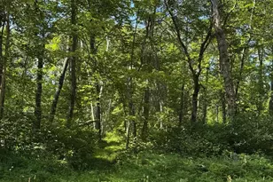 Tbd Blue Ridge Dr, Breezy Point, MN 56472 - Photo 1