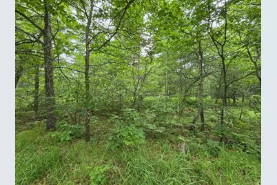 Xxx Saylors Lane, Siren, WI 54872 - Photo 6