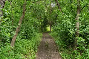 4584 162nd Ln NW, Andover, MN 55304 - Photo 62