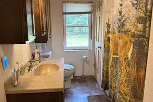 29184 Jana Rd, Danbury, WI 54830 - Photo 16