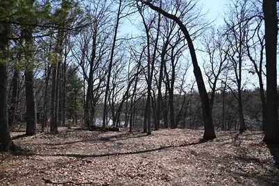 38869 Odin Court, Ward Twp, MN 56438 - Photo 6