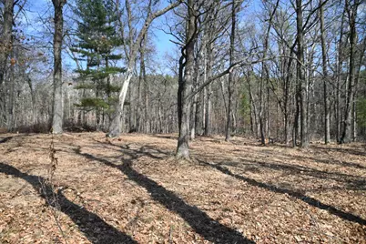 38869 Odin Court, Ward Twp, MN 56438 - Photo 8