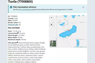 Tbd Ottawa Drive, Fawn Lake Township, MN 56438 - Photo 22