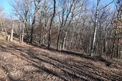 Tbd Ottawa Drive, Fawn Lake Township, MN 56438 - Photo 16