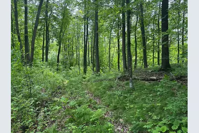Tbd Tamarac Road, Onamia, MN 56353 - Photo 44