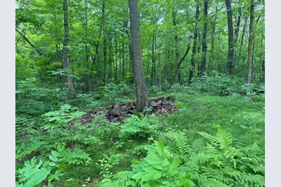 Tbd Tamarac Road, Onamia, MN 56353 - Photo 40