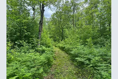 Tbd Tamarac Road, Onamia, MN 56353 - Photo 34