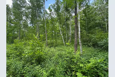 Tbd Tamarac Road, Onamia, MN 56353 - Photo 46