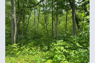 Tbd Tamarac Road, Onamia, MN 56353 - Photo 38
