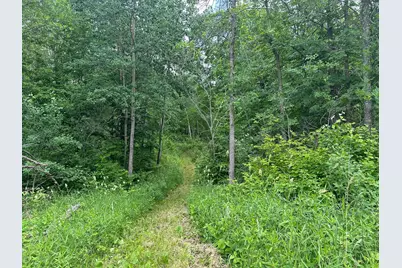 Tbd Tamarac Road, Onamia, MN 56353 - Photo 48