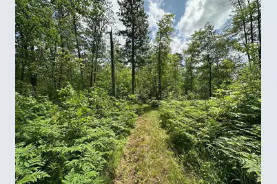 Tbd Tamarac Road, Onamia, MN 56353 - Photo 24
