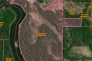 Wood Lot W Section 31 St, Morton, MN 56270 - Photo 1