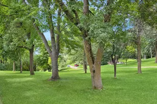 2676 140th St, Garvin, MN 56132 - Photo 62