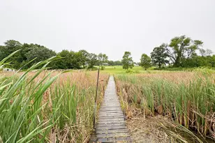 24718 W Elbow Rd, Pelican Rapids, MN 56572 - Photo 48