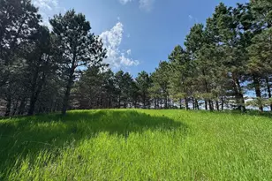 75A Hines Road NE, Hines, MN 56647 - Photo 1