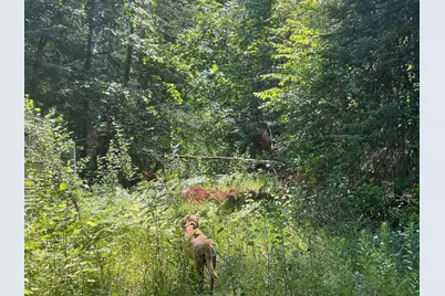 59112 412th Place, Swatara, MN 55785 - Photo 8