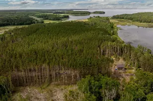 Tbd Fs 2666, Walker, MN 56484 - Photo 20