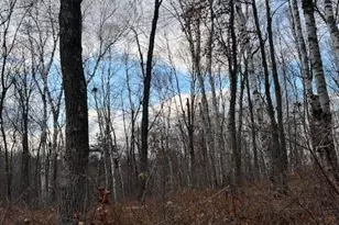 77 Acres Wickline Ln, Crosslake, MN 56442 - Photo 1