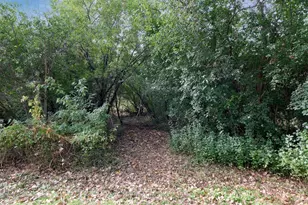 148 Ridgeview Ln E, Wayzata, MN 55391 - Photo 4