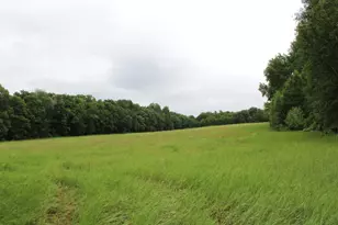 34497 Quiken Rd, Motley, MN 56466 - Photo 36