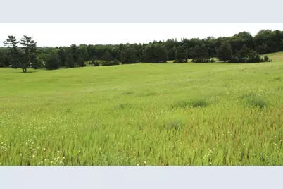 34497 Quiken Road, Motley, MN 56466 - Photo 38