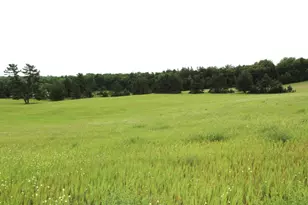 34497 Quiken Rd, Motley, MN 56466 - Photo 38