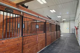 4193 Town Road 187, Ray, MN 56669 - Photo 36