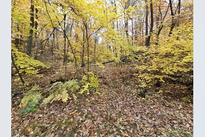 Lot 26 Block 1 Westward Ho, Roosevelt Township, MN 56450 - Photo 2