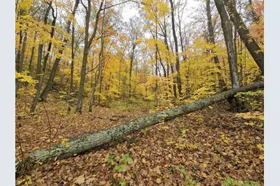 Lot 26 Block 1 Westward Ho, Roosevelt Township, MN 56450 - Photo 6