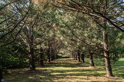 15544 60th Avenue S, Glyndon, MN 56547 - Photo 86