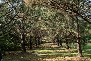 15544 60 Ave S, Glyndon, MN 56547 - Photo 86