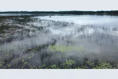 X Leaf River Road, Ottertail, MN 56571 - Photo 14