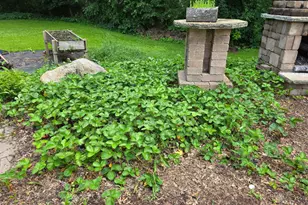 240 1st St SW, Elgin, MN 55932 - Photo 12