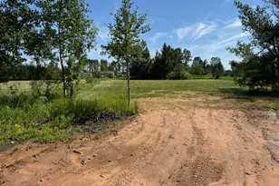 Tbd-Lot A Burns St, Bruno, MN 55712 - Photo 1