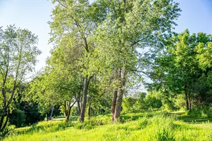 32592 Juniper Rd, Chatfield Twp, MN 55923 - Photo 50