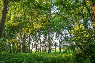 32592 Juniper Rd, Chatfield Twp, MN 55923 - Photo 42