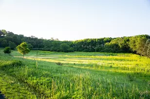 32592 Juniper Rd, Chatfield Twp, MN 55923 - Photo 40