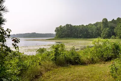 Lot 1 Turtle Lake Drive NW, Walker, MN 56484 - Photo 20