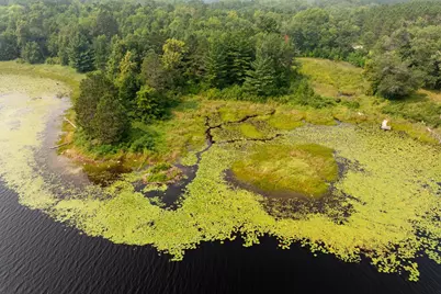 Lot 1 Turtle Lake Drive NW, Walker, MN 56484 - Photo 26