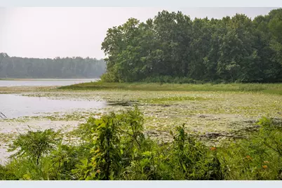 Lot 2 Turtle Lake Drive NW, Walker, MN 56484 - Photo 16