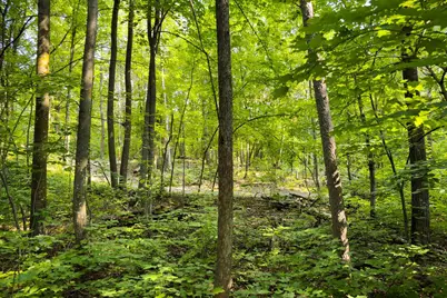 Lot 2 Turtle Lake Drive NW, Walker, MN 56484 - Photo 4