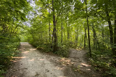 Lot 2 Turtle Lake Drive NW, Walker, MN 56484 - Photo 12