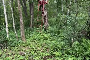 W25757 Bear Coulee Rd, Trempealeau, WI 54661 - Photo 58