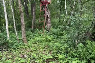 W25757 Bear Coulee Rd, Trempealeau, WI 54661 - Photo 58