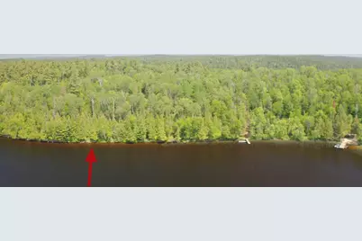 5773 Lake Vermilion N, Tower, MN 55790 - Photo 1